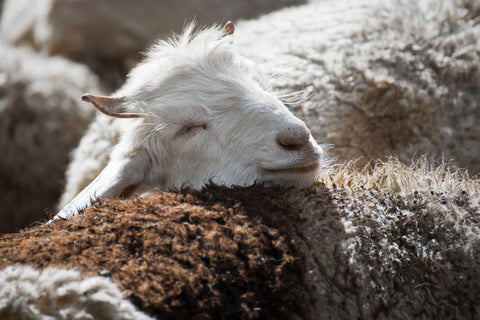 SUSTAINABILITY AND FASHION: WHY IT DOESN'T HAVE TO BE A CONTRADICTION