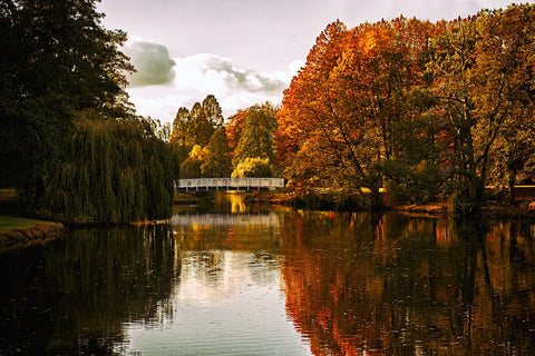 5 AUTUMN BASICS FOR YOUR PERFECT START INTO THE COZY SEASON